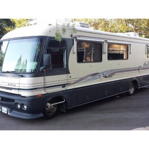 1995 Pace-Arrow VISION