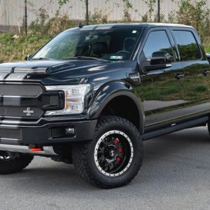 2019 Ford Shelby F-150 4×4