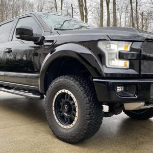 2016 Ford Shelby F-150
