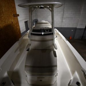 2022 Boston Whaler 250 Dauntless