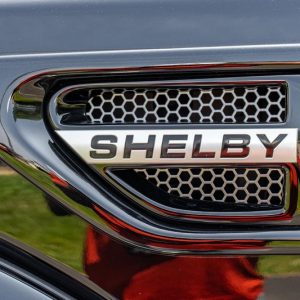 2019 Ford Shelby F-150 4×4