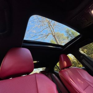 2023 Lexus IS 500 Premium