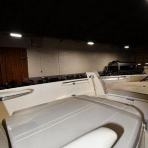 2022 Boston Whaler 250 Dauntless