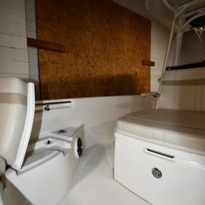 2022 Boston Whaler 250 Dauntless