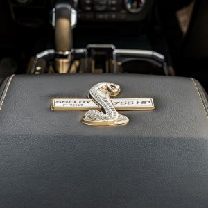 2019 Ford Shelby F-150 4×4